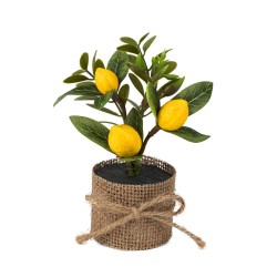 COMPOSITION DE CITRONS ET FEUILLAGE JAUNE ET VERT POT JUTE 5 X 13 CM