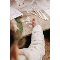 12 PAILLES FAIRY (FEE) WORLD  BLANC ET ROSE PASTEL