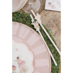 12 PAILLES FAIRY (FEE) WORLD  BLANC ET ROSE PASTEL