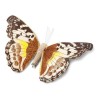 PAPILLON SUR PINCE CHOCO ET JAUNE 18 CM  PAPILLON SUR PINCE CHOCO ET JAUNE 18 CM