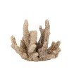 DECORATION CORAUX RESINE SABLE 10.5 X 15.5 CM  DECORATION CORAUX RESINE SABLE 10.5 X 15.5 CM