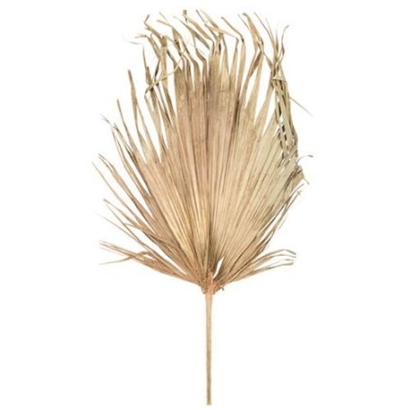 FEUILLE DE PALMIER SECHEE NATURELLE GM 120 X 70 CM 