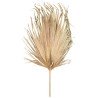 FEUILLE DE PALMIER SECHEE NATURELLE GM 120 X 70 CM 