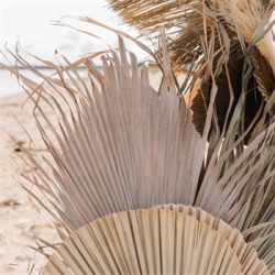 FEUILLE DE PALMIER SECHEE NATURELLE GM 120 X 70 CM 