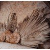 FEUILLE DE PALMIER SECHEE NATURELLE GM 120 X 70 CM 