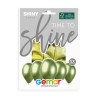 5 BALLONS BIO LATEX  COULEUR SHINY GREEN OU VERT KIWI 33 CM  5 BALLONS BIO LATEX  COULEUR SHINY GREEN OU VERT KIWI 33 CM