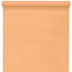 NAPPE SPUNBOND 60G/ M2 CORAIL OU PECHE EN ROULEAU 1,20 M X 10 M