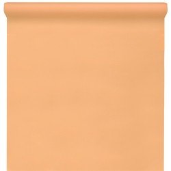NAPPE SPUNBOND 60G/ M2 CORAIL OU PECHE EN ROULEAU 1,20 M X 10 M
