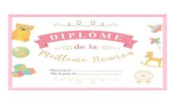 CADRE DIPLOME DE LA MEILLEURE NOUNOU