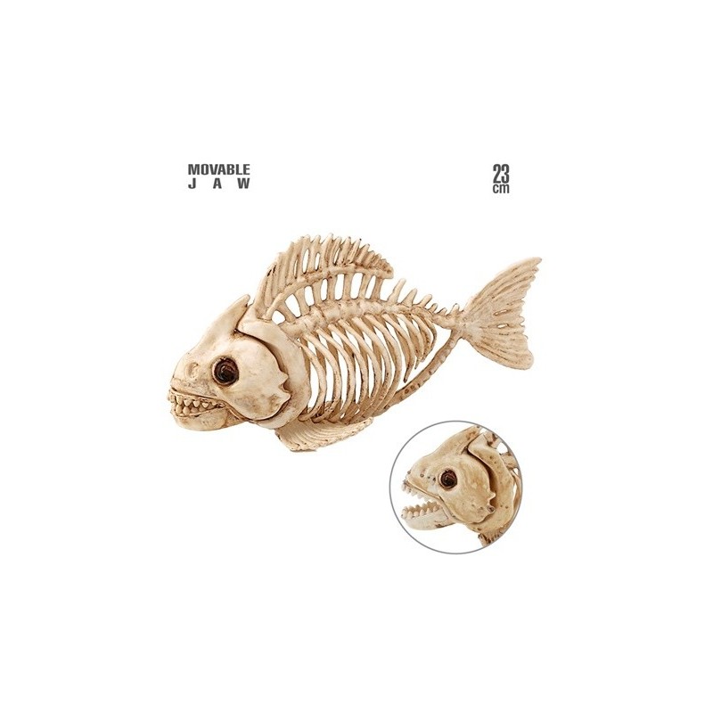 SQUELETTE DE POISSON 23 CM  SQUELETTE DE POISSON 23 CM