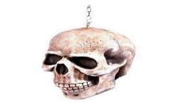 DECORATION HALLOWEEN CRANE 20 CM EN MOUSSE