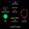 48 ACCESSOIRES  FLUO GLOW STICK COSTUME 48 ACCESSOIRES  FLUO GLOW STICK COSTUME