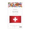DRAPEAU SUISSE EN TISSU POLYESTER 90 X 150 CM