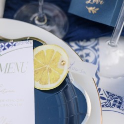 20 SERVIETTES COCKTAIL TRANCHE DE CITRON 24 CM 