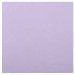 20 SERVIETTES RAINBOW AIRLAID LILAS OU PARME  40 X 40 CM 