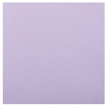 20 SERVIETTES RAINBOW AIRLAID LILAS OU PARME  40 X 40 CM 
