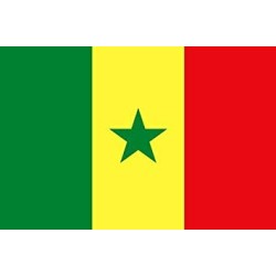 DRAPEAU SENEGAL EN TISSU 90 X 150 CM