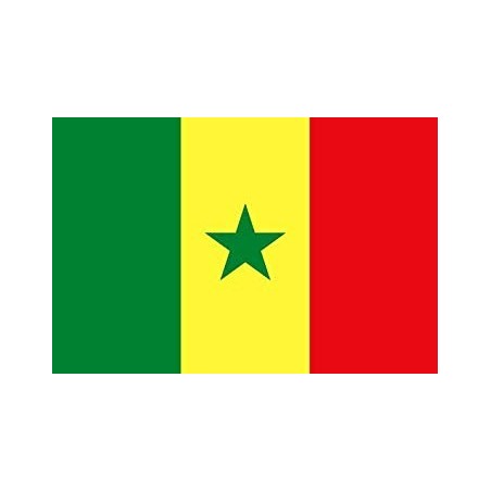 DRAPEAU SENEGAL EN TISSU 90 X 150 CM