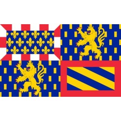 DRAPEAU EN TISSU BOURGOGNE FRANCHE COMTE 90 X 150 CM