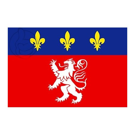 DRAPEAU VILLE DE LYON EN TISSU 60 X 90 CM