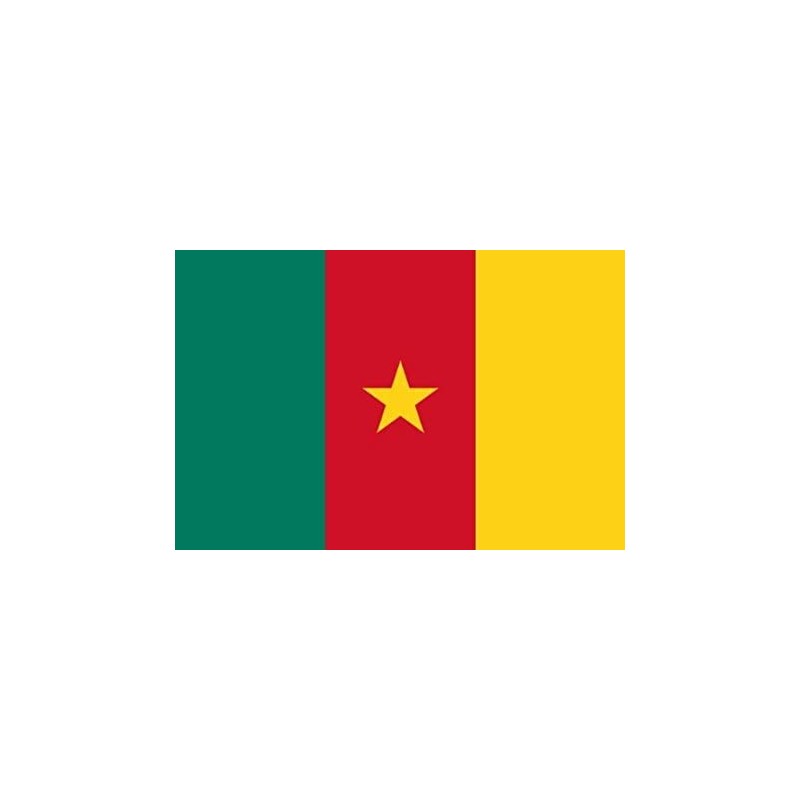 DRAPEAU CAMEROUN EN TISSUS 60 X 90 CM DRAPEAU CAMEROUN EN TISSUS 60 X 90 CM