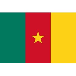 DRAPEAU EN TISSU CAMEROUN 90 X 150 CM