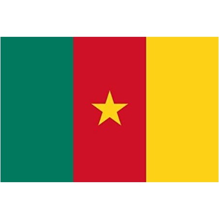 DRAPEAU EN TISSU CAMEROUN 90 X 150 CM