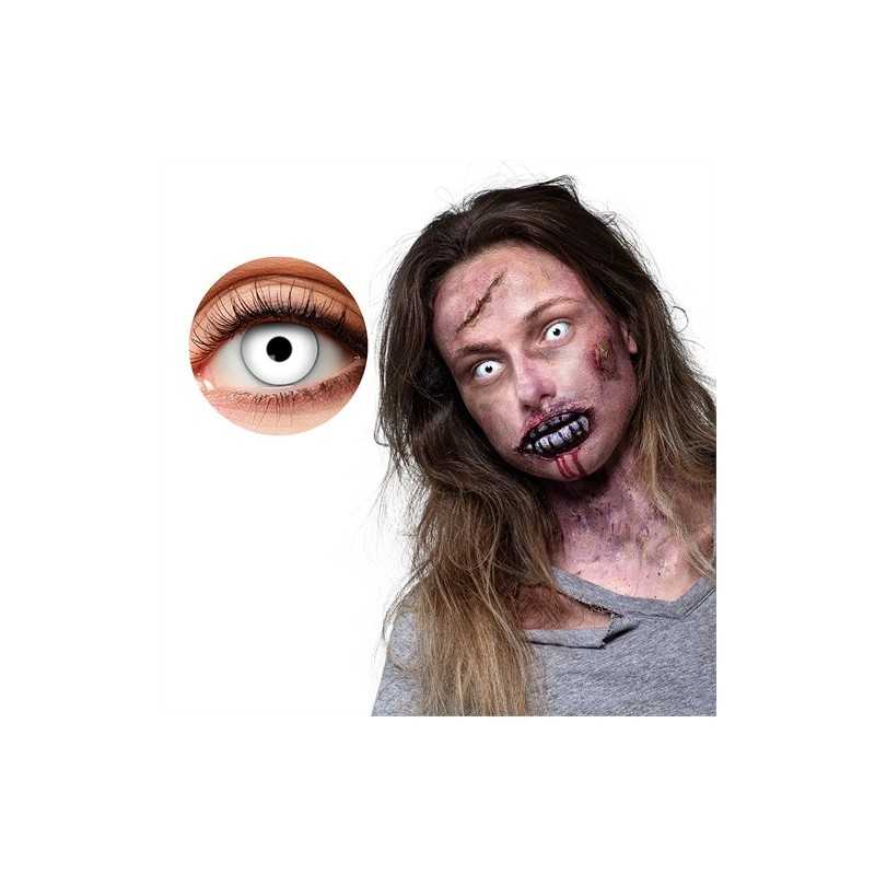 LENTILLES BLANC 1 SEMAINE