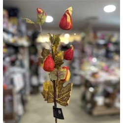 TIGE FLEURS DE PHYSALIS COULEURS AUTOMNE ENV 60 CM