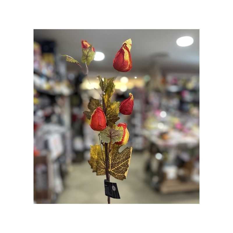 TIGE FLEURS DE PHYSALIS COULEURS AUTOMNE ENV 60 CM
