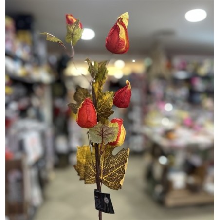 TIGE FLEURS DE PHYSALIS COULEURS AUTOMNE ENV 60 CM