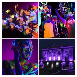 PROJECTEUR 216 LEDS IP 65 LUMIERE NOIRE 150W 31x18 CM AVEC INTERRUPTEUR