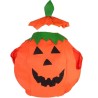 DEGUISEMENT HALLOWEEN CITROUILLE ENFANT TAILLE UNIQUE 2 PIECES