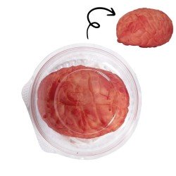 DECORATION HALLOWEEN CERVEAU SANGLANT