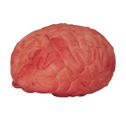 DECORATION HALLOWEEN CERVEAU SANGLANT