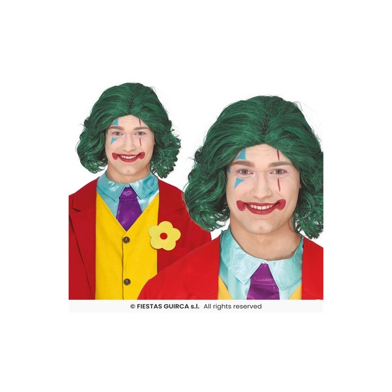 PERRUQUE HOMME CLOWN JOKER CHEVEUX MI LONG VERT  PERRUQUE HOMME CLOWN JOKER CHEVEUX MI LONG VERT