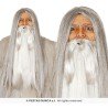 PERRUQUE DE SORCIERE CHEVEUX LONGS GRIS SANS FRANGE