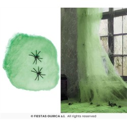TOILE D'ARAIGNEE VERTE 100 GR