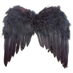 AILES D'ANGE NOIR PLUMES 