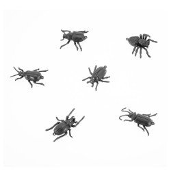 LOT 6 INSECTES BLATTES NOIRS PVC 6CM X 4CM
