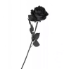 TIGE ROSE NOIRE HALLOWEEN 65 CM  TIGE ROSE NOIRE HALLOWEEN 65 CM