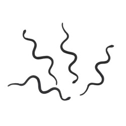 LOT 12 SERPENTS NOIRS 14.5CM