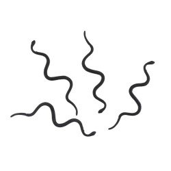 LOT 12 SERPENTS NOIRS 14.5CM