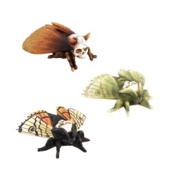 PAPILLONS TETE DE MORT