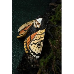 PAPILLONS TETE DE MORT 