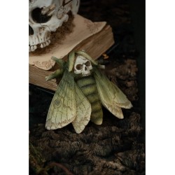 PAPILLONS TETE DE MORT 