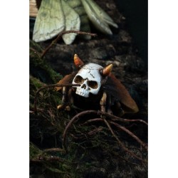 PAPILLONS TETE DE MORT 