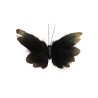 PAPILLON DE FORET PLUMES A PINCER 15CM X 1.5CM X 10CM PAPILLON DE FORET PLUMES A PINCER 15CM X 1.5CM X 10CM