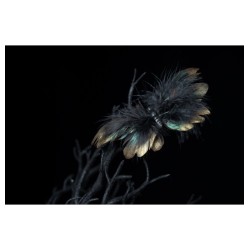 PAPILLON DE FORET PLUMES A PINCER 15CM X 1.5CM X 10CM