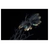 PAPILLON DE FORET PLUMES A PINCER 15CM X 1.5CM X 10CM PAPILLON DE FORET PLUMES A PINCER 15CM X 1.5CM X 10CM